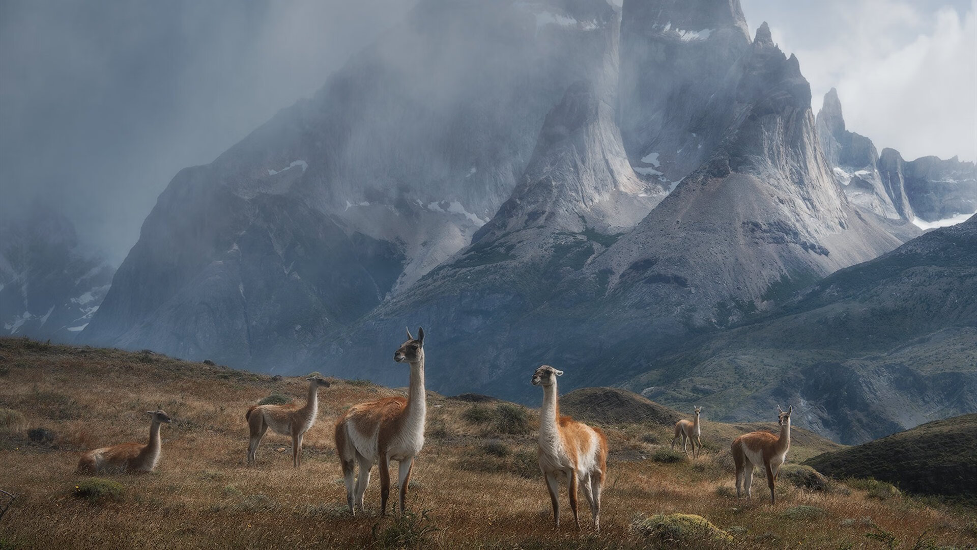 爱游戏体育官方网站-_雄鹿队字母哥再次砍下三双_,雄鹿字母哥fmvp