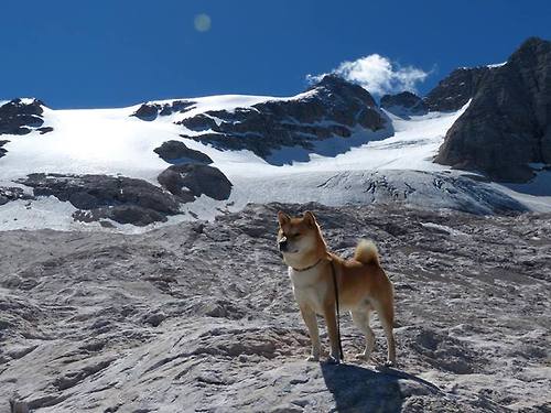 爱游戏官网-_雄鹿双星合璧,客场大胜凯尔特人_,nba雄鹿对凯尔特人