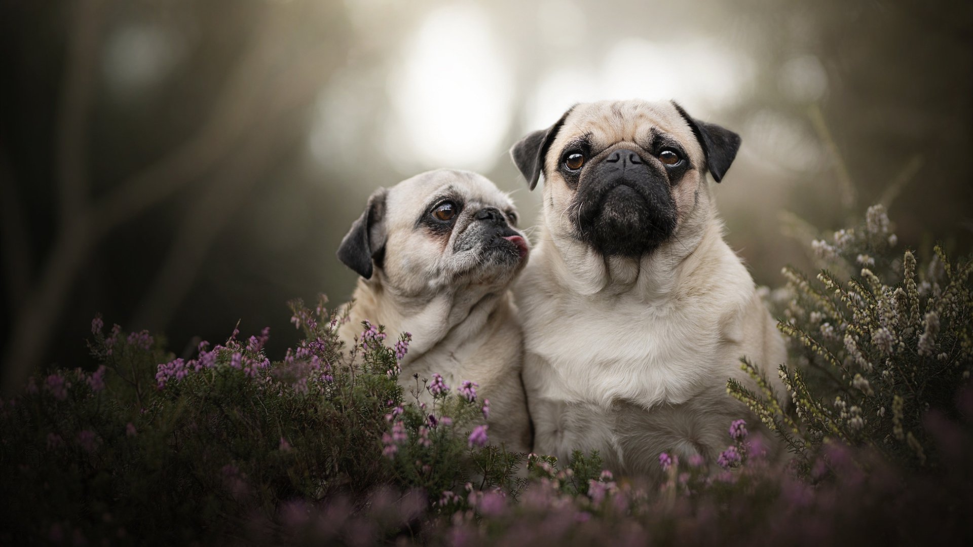 爱游戏中国官方网站平台-伊朗球队合影全员戴手套围巾，时尚圈点赞“冷酷战士”，伊朗选手