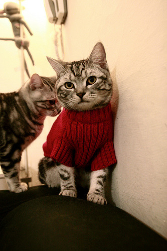 爱游戏下载-“未来领袖”青少年青训未来大会在上海成功举办,助推行业繁荣