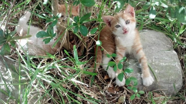 -【年度精彩赛事】战术与技艺巅峰对决全景回顾,战术技术