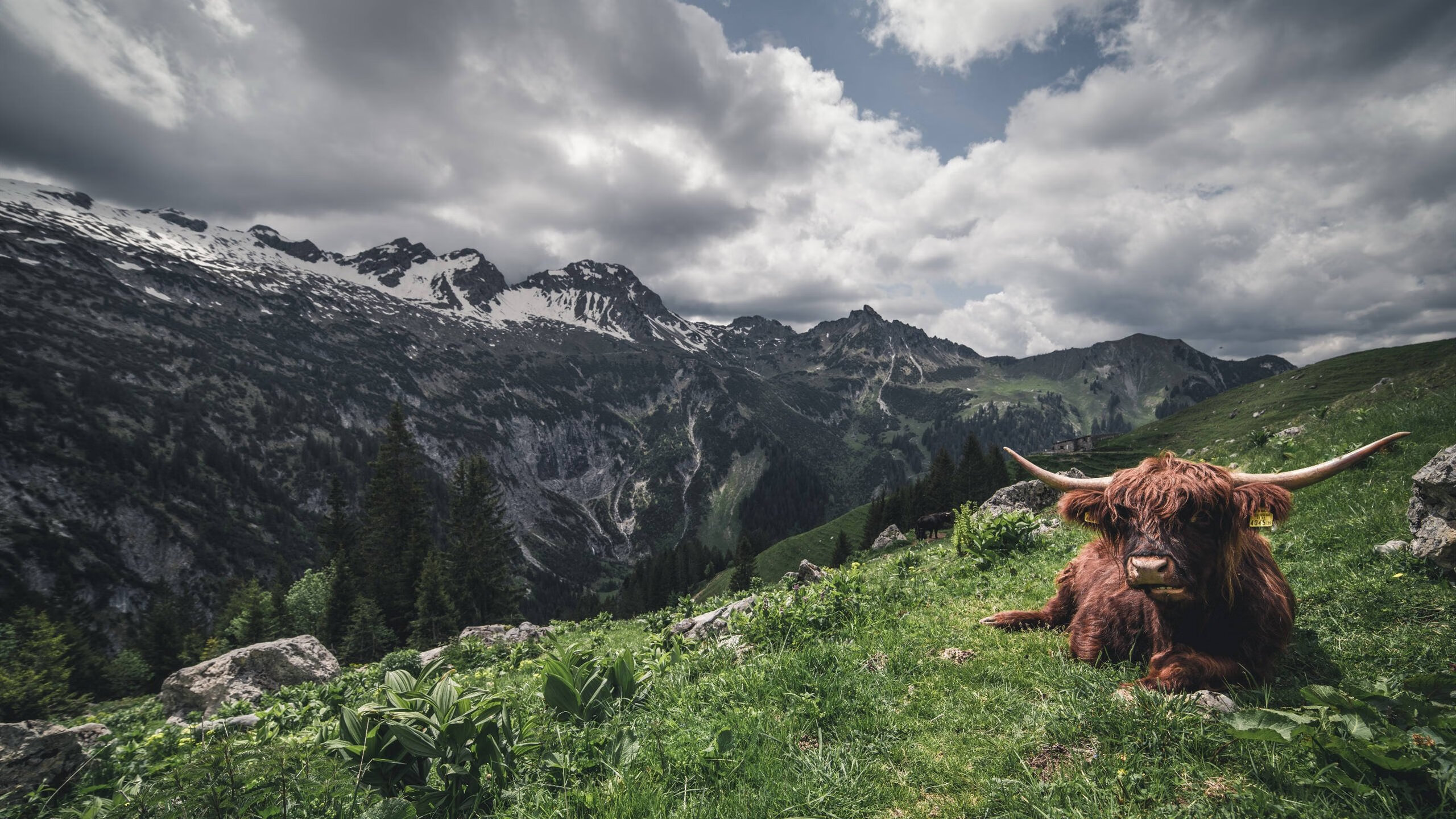 爱游戏体育平台-【运动员心声】他们如何面对比赛中的突发犯规?,比赛突发事件及处理