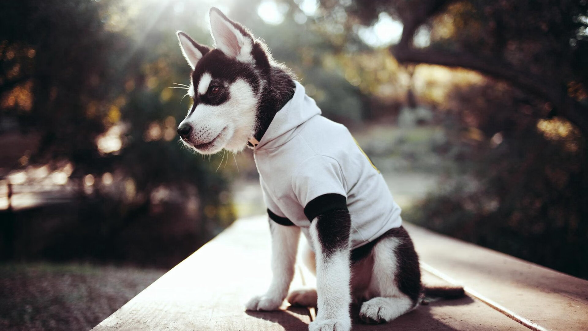 爱游戏登录入口-乌拉圭男足在巴黎奥运会比赛中以1-0战胜法国,乌拉圭男足排名