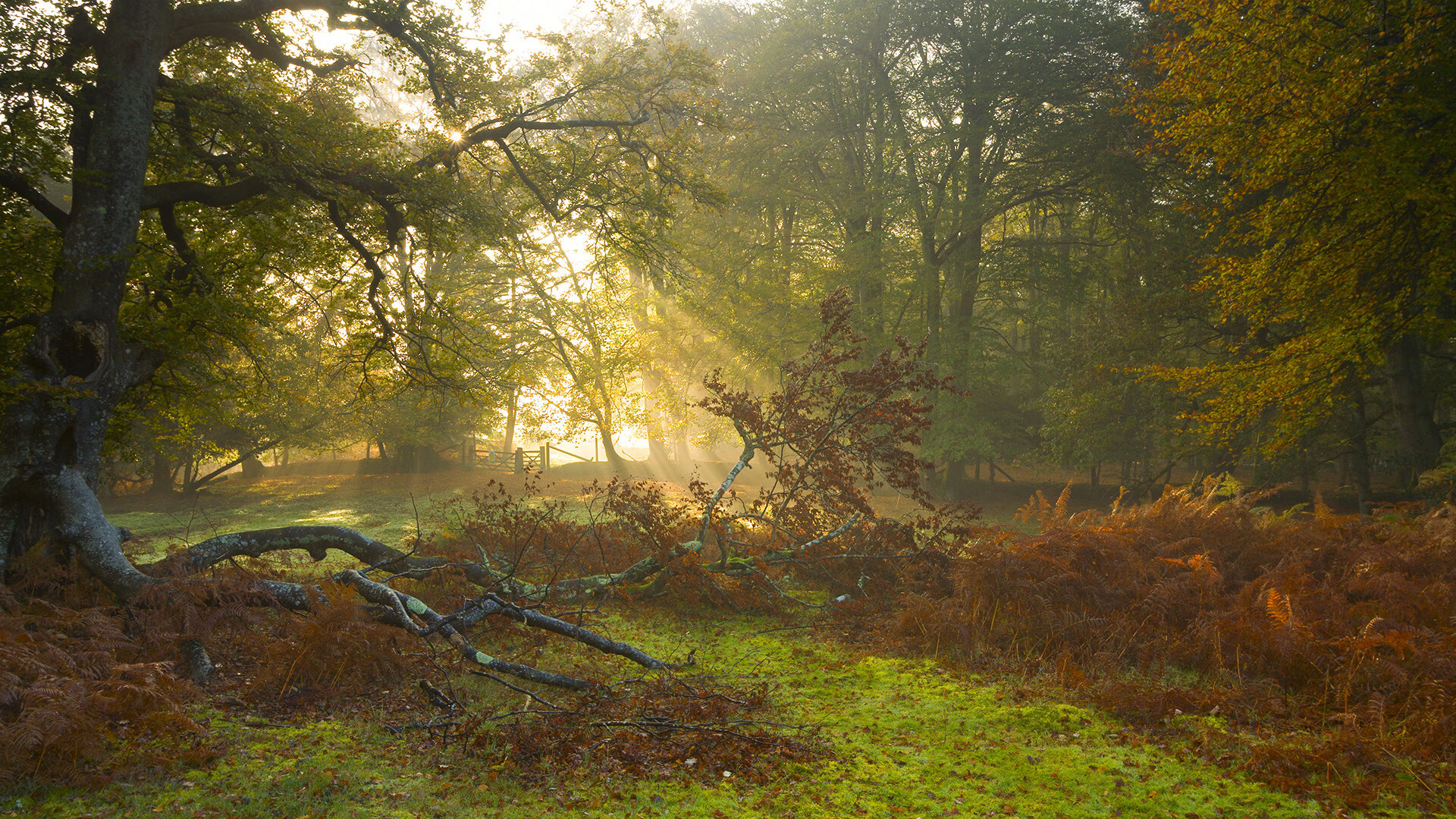 爱游戏登录入口-今年联盟助攻总榜：谁的传球最“秀”？，lpl助攻榜2020