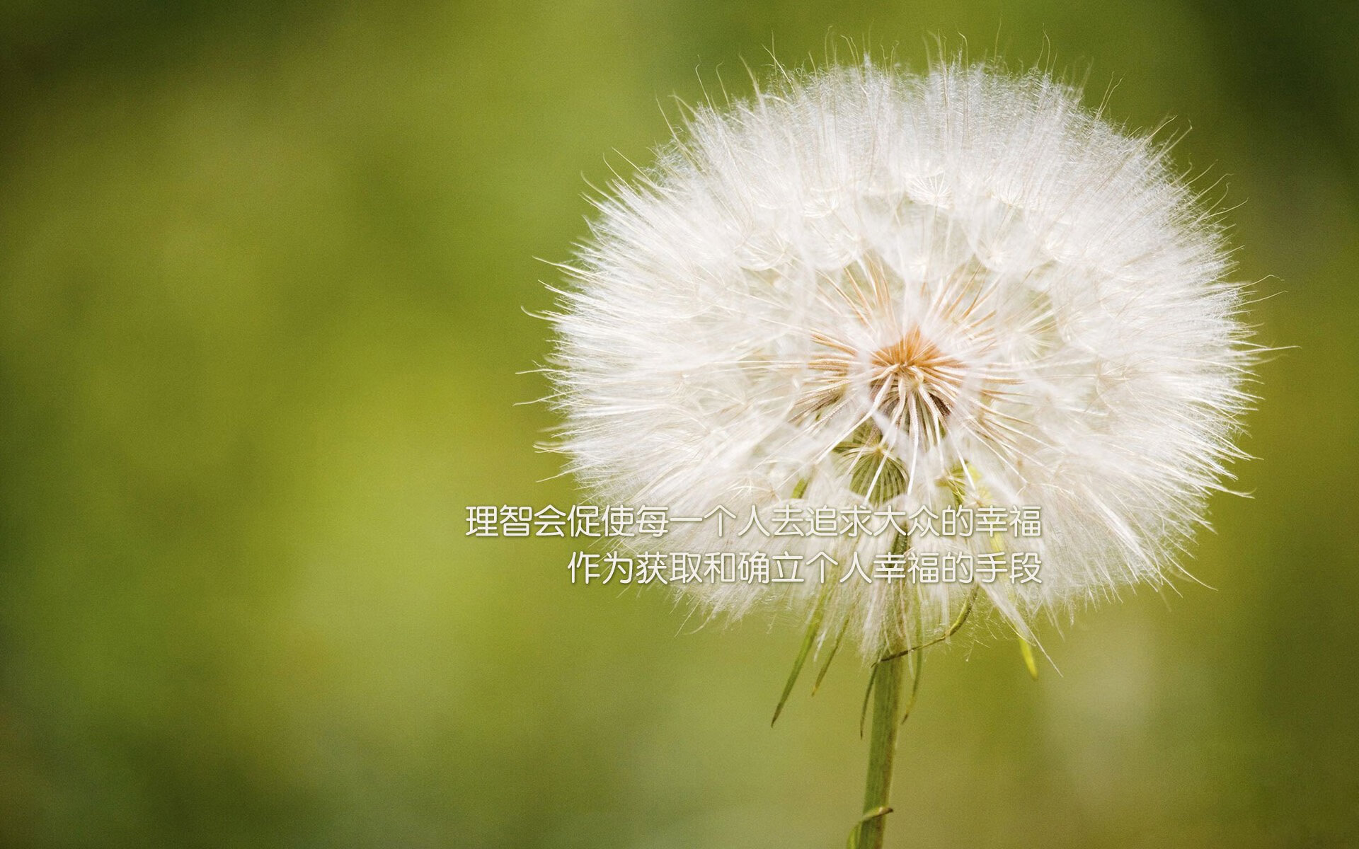 爱游戏官网-巴西女足在奥运会小组赛中与法国队激战,巴西女足在奥运会小组赛中与法国队激战的是谁