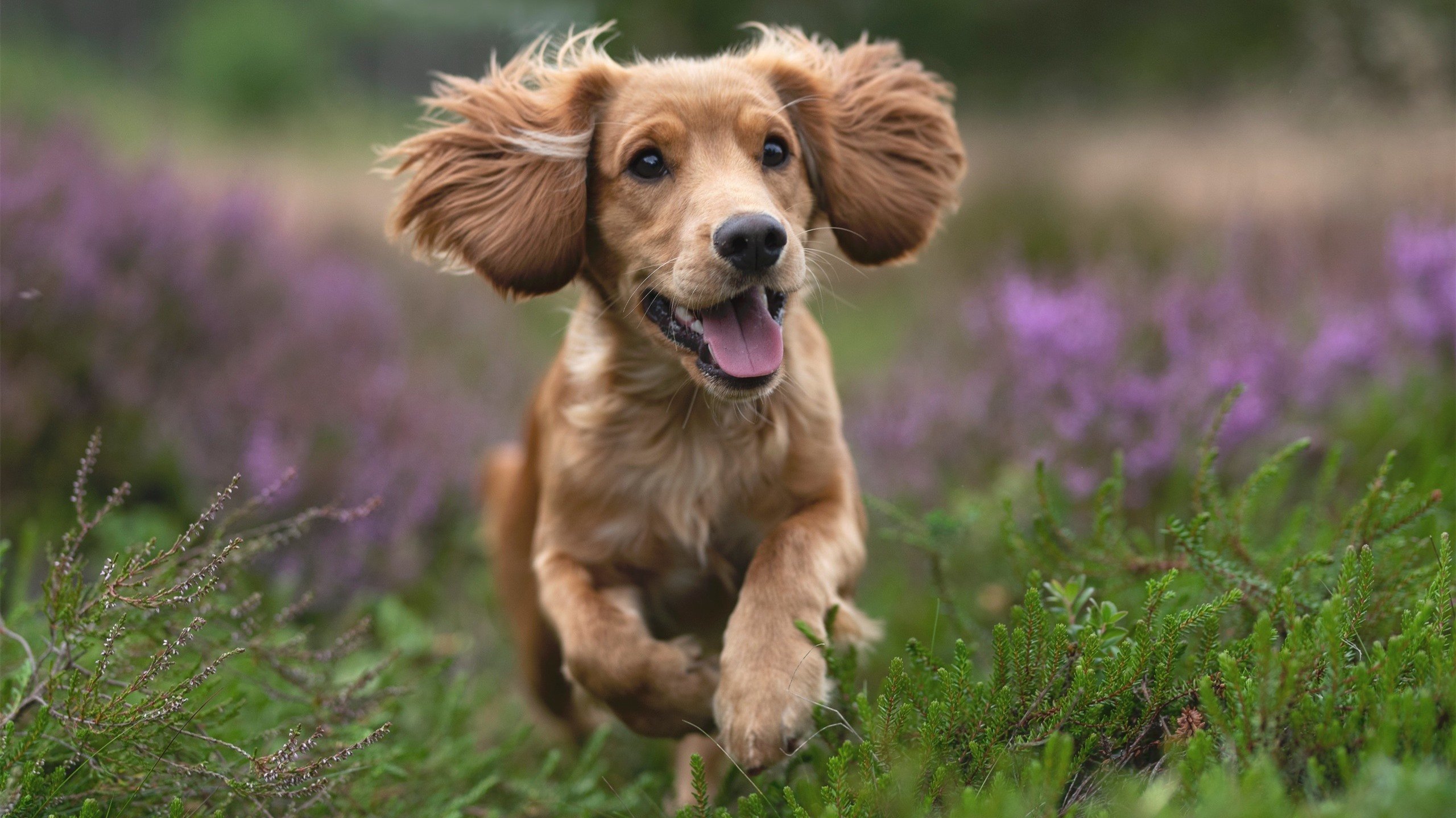 爱游戏平台-女子篮球职业联赛季后赛,争夺激烈一触即发,女子篮球赛事