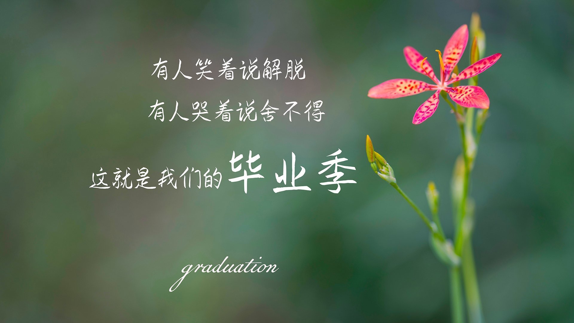 爱游戏-巴黎再签一名超级中场,梦想再升级,曝巴黎正酝酿超级转会