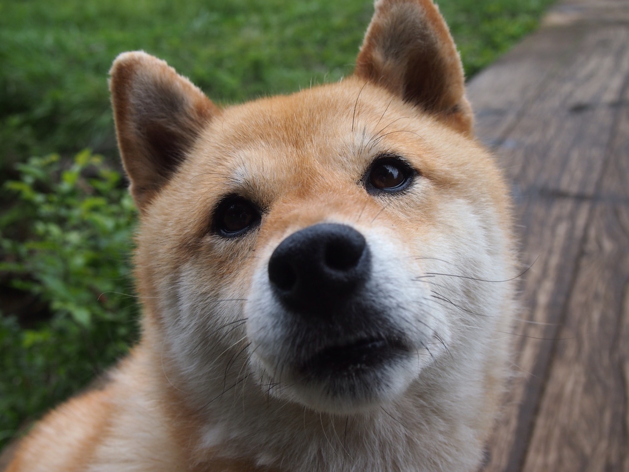 爱游戏中国官方网站平台-皇马绝杀巴萨,欧冠半决赛锁定一席,欧冠半决赛皇马vs马竞