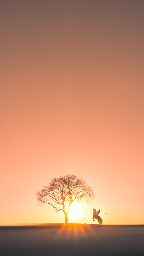 爱游戏娱乐网址-篮球文化节活动丰富多彩吸引群众,宣传篮球文化