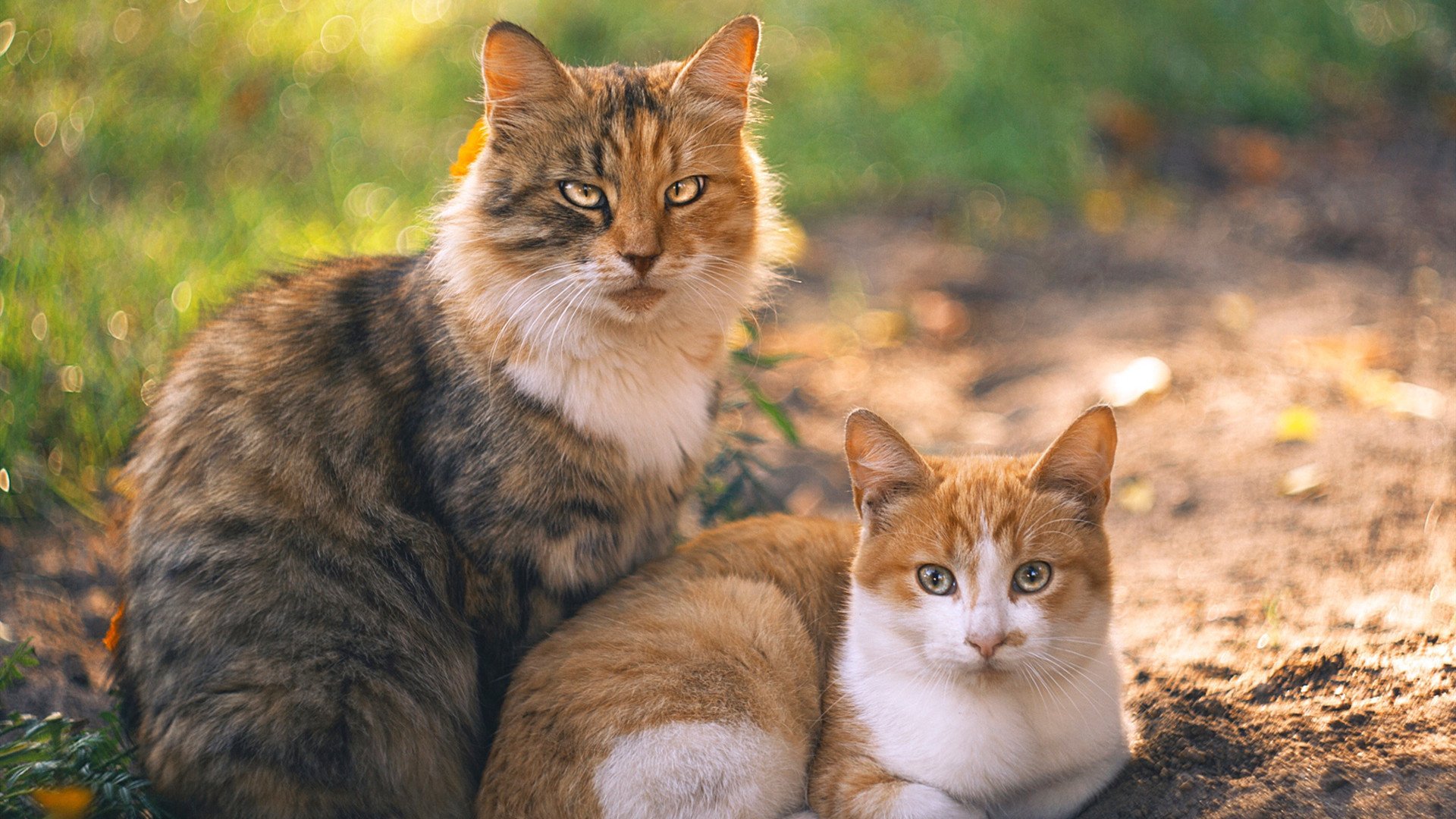 AYX体育-高端电竞赛事场馆设计,科技与艺术的完美融合,电竞比赛场地设计