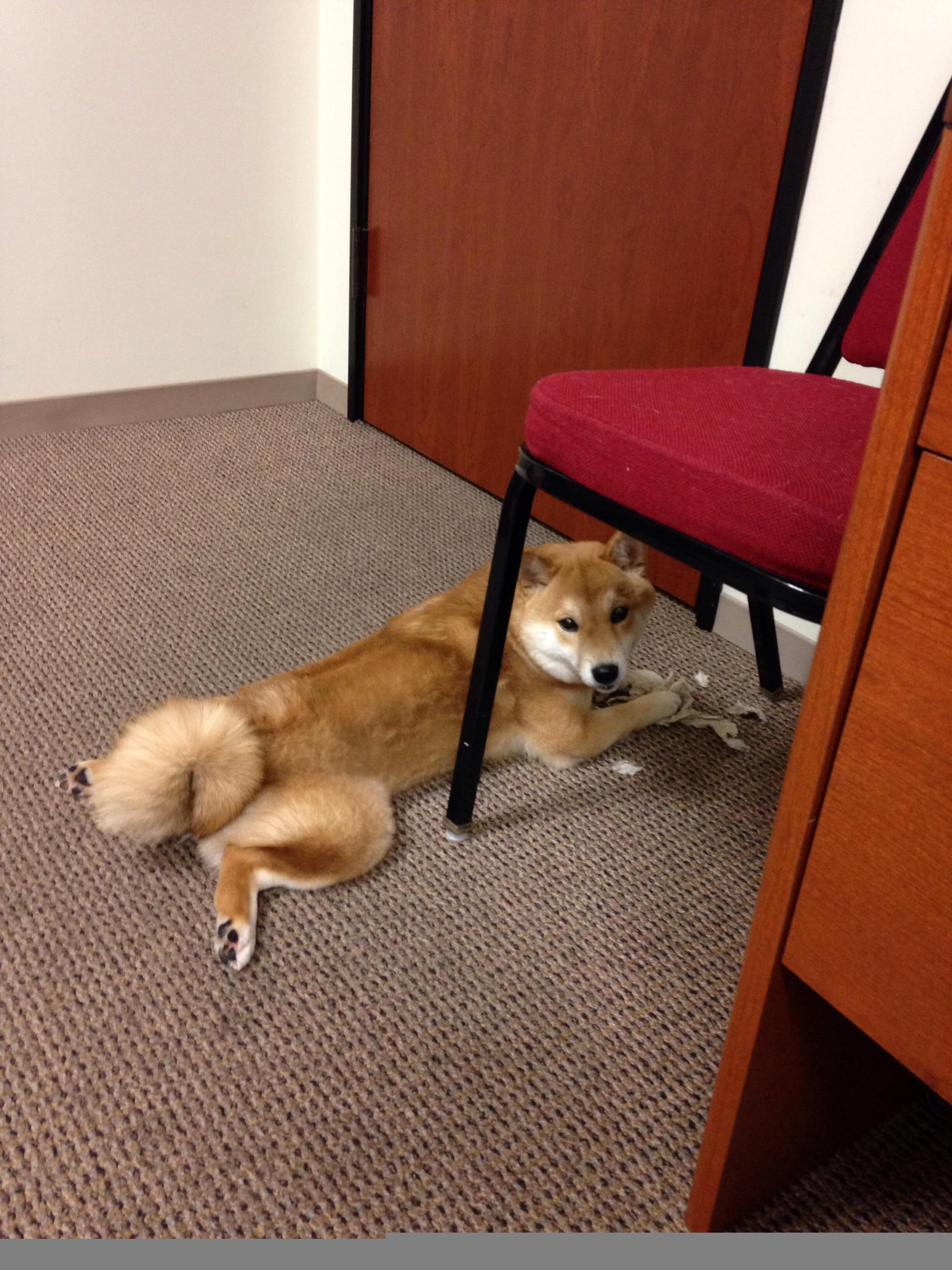 爱游戏电竞官网-赛场外的趣味：WRC车迷文化及特色活动，wrc 车