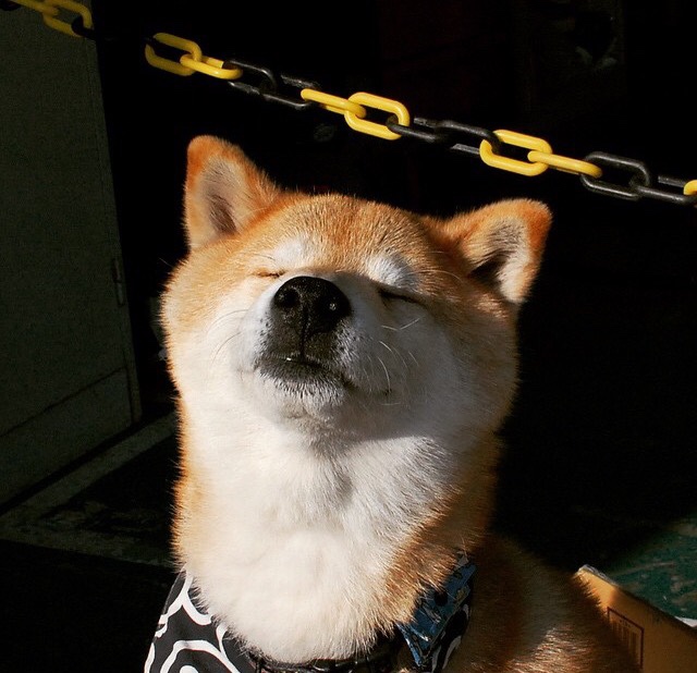 爱游戏电竞官网-足球训练教材进入全国体育院校课程体系,足球已被纳入学校体育课程必修内容