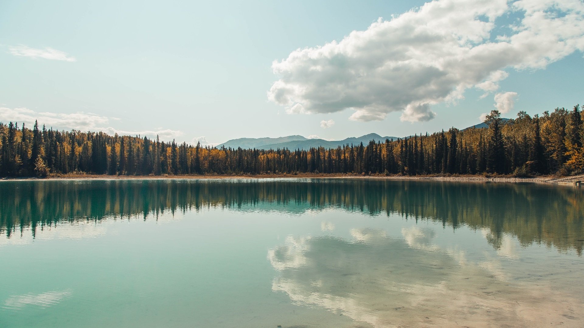 爱游戏官方网站-TL与知名品牌联合推出电竞服饰,t rex电竞官网