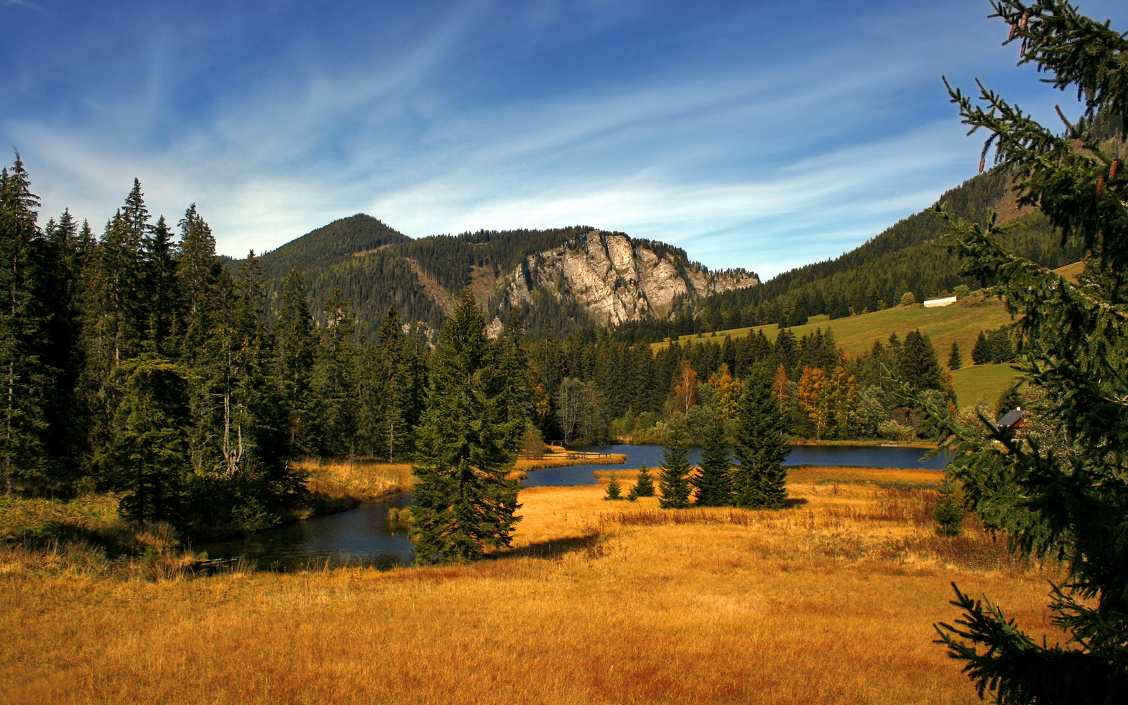 爱游戏-汉堡球队内讧危机,主帅寻找解决方案重振球队士气,汉堡球队最近比赛