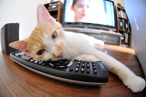 AYX体育-阿尔特塔注重防守,提升球队防守稳定性,阿尔特塔阵型