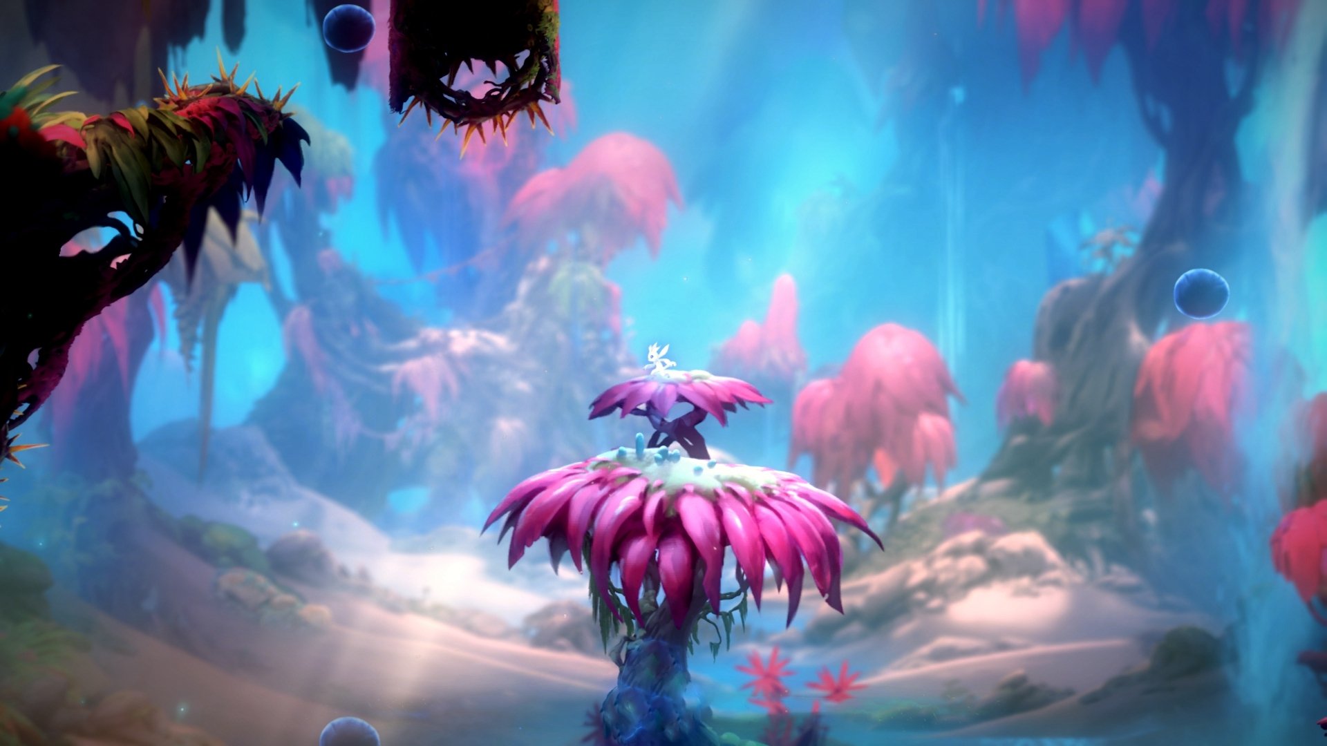 爱游戏体育APP下载-阿贾克斯球队备战决赛，全队士气高昂，阿贾克斯赛事