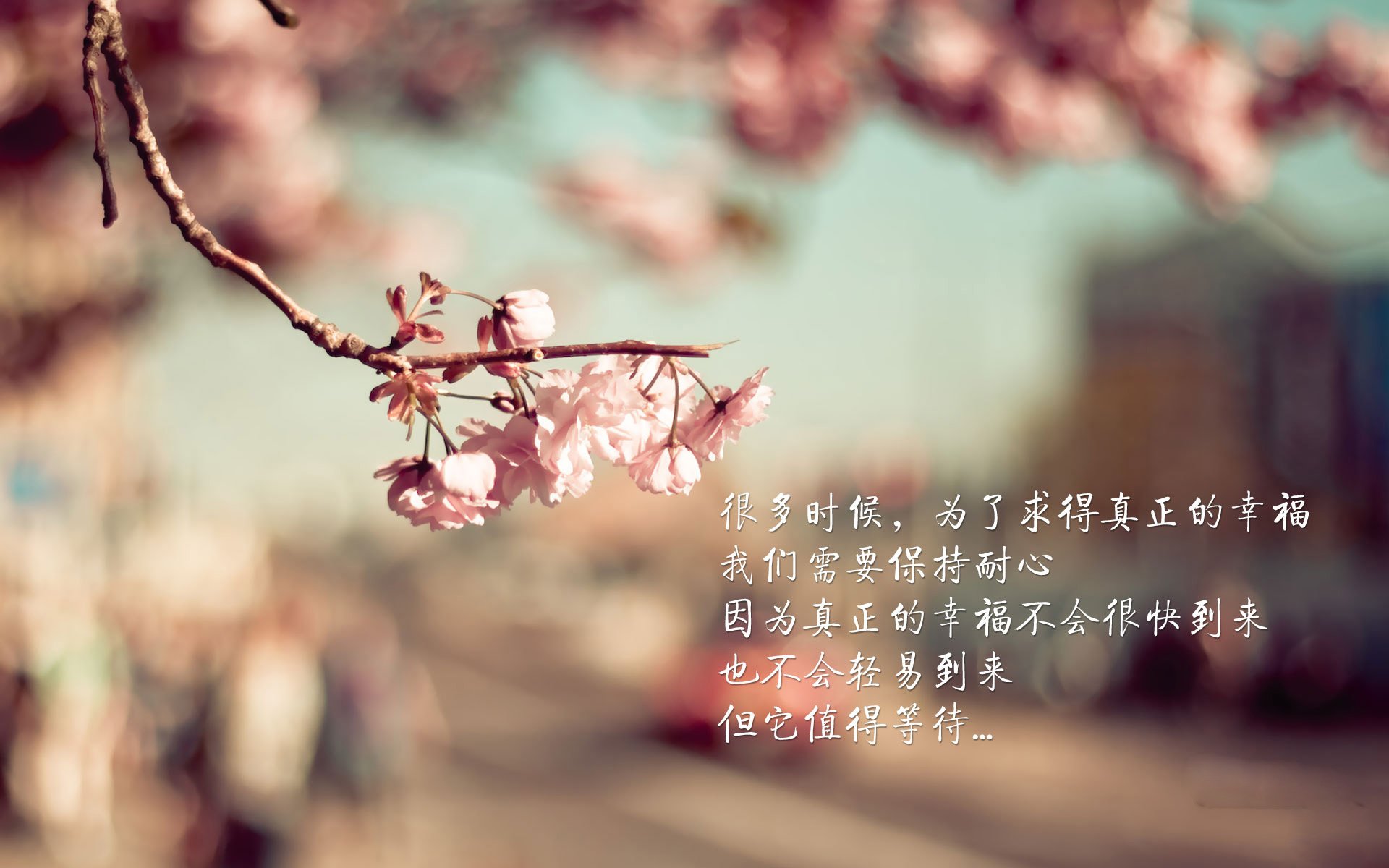 爱游戏娱乐平台-墨西哥球员在冰面滑铲,裁判都看傻了,墨西哥滑雪场