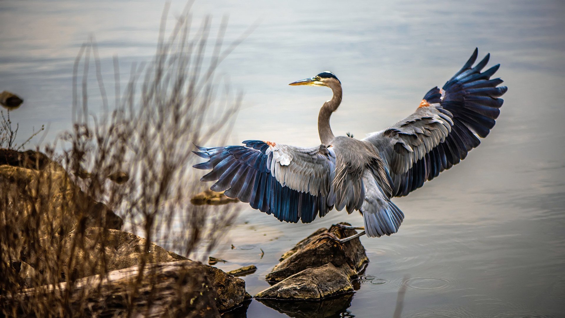 爱游戏登录入口-中国篮球职业联赛市场发展瓶颈及对策,中国篮球产业规模