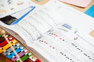 爱游戏娱乐平台-中小学体育课安全教育现状与对策,中小学体育课安全教育现状与对策研究