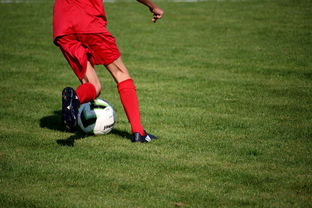 爱游戏官方网站-中超球员战术执行稳定性评分机制,中超联赛评分标准