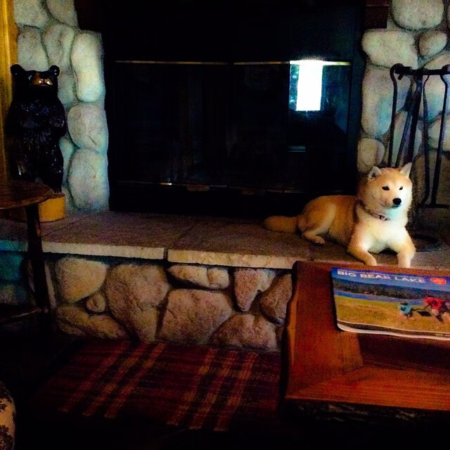 爱游戏综合娱乐-女足世界杯教练组战术调整,世界著名女足主教练