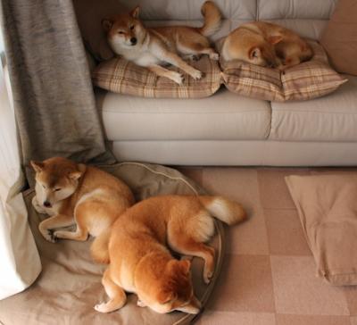 爱游戏体育-西甲裁判语言分析对判罚公正性的影响评估，中甲裁判争议判罚引冲突