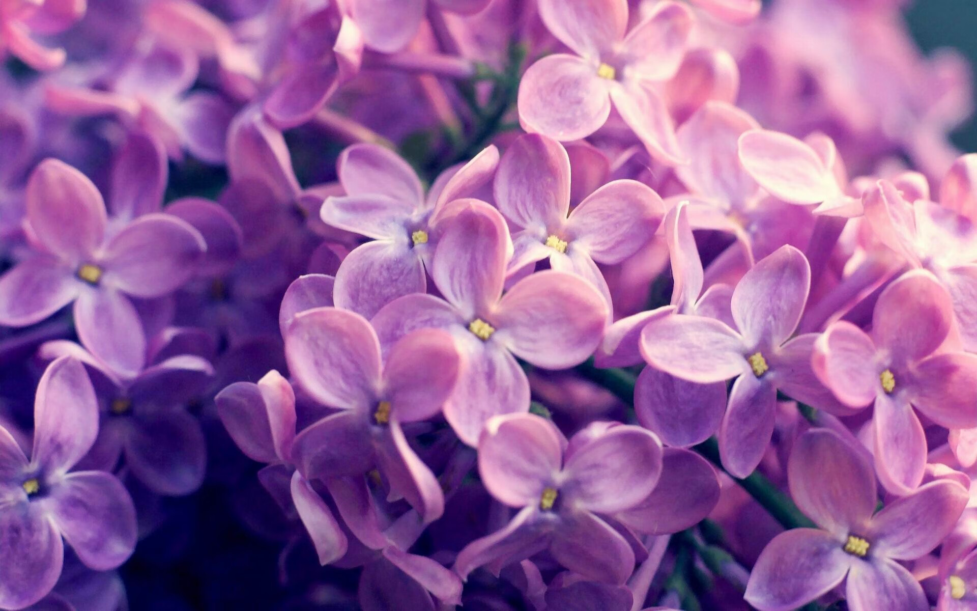 爱游戏体育(AYX)官方APP下载-高校运动损伤案例数据库建设方案与应用前景,运动损伤课题