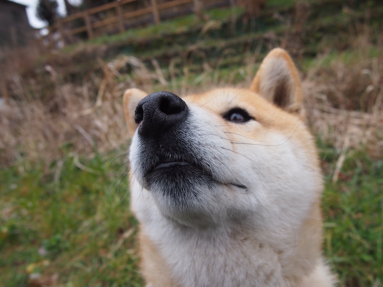 -CBA赛制改革是否应引入升降级机制,cba常规赛改革