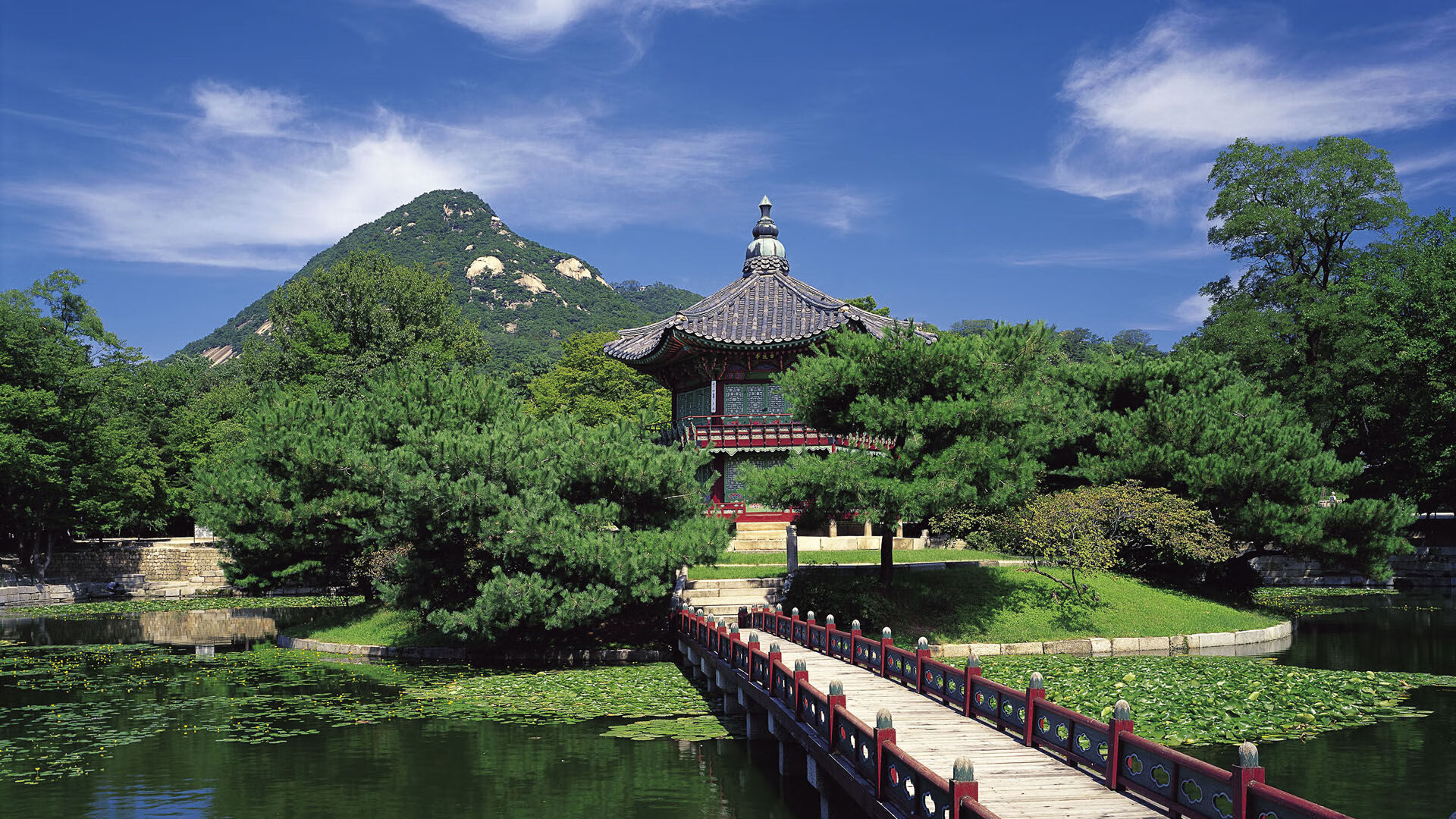 爱游戏娱乐平台-中国女篮新援融入快速 增强球队战斗力，中国女篮新人辈出