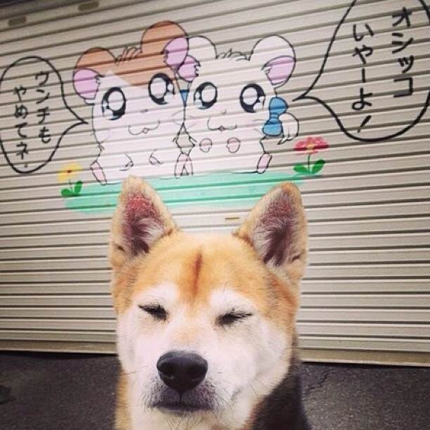 爱游戏在线登录入口-体育新闻中心协助地方体育局开展体育新闻宣传工作,体育类的新闻简报