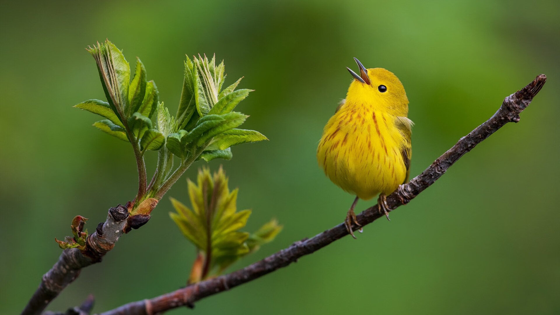 爱游戏登录入口-国家队比赛节奏控制能力为何落后,国家队比赛节奏控制能力为何落后呢