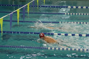 爱游戏体育(AYX)官方APP下载-世界自由泳接力赛中国女队再夺奖牌,中国自由泳接力女队获第7名