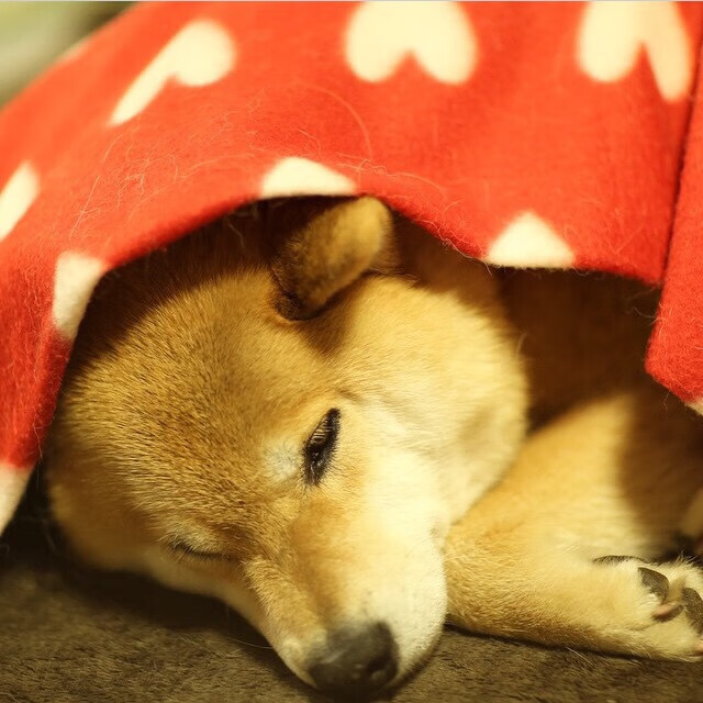 爱游戏官方网站-76人首发阵容或迎来变动引球迷猜测，76人 首发