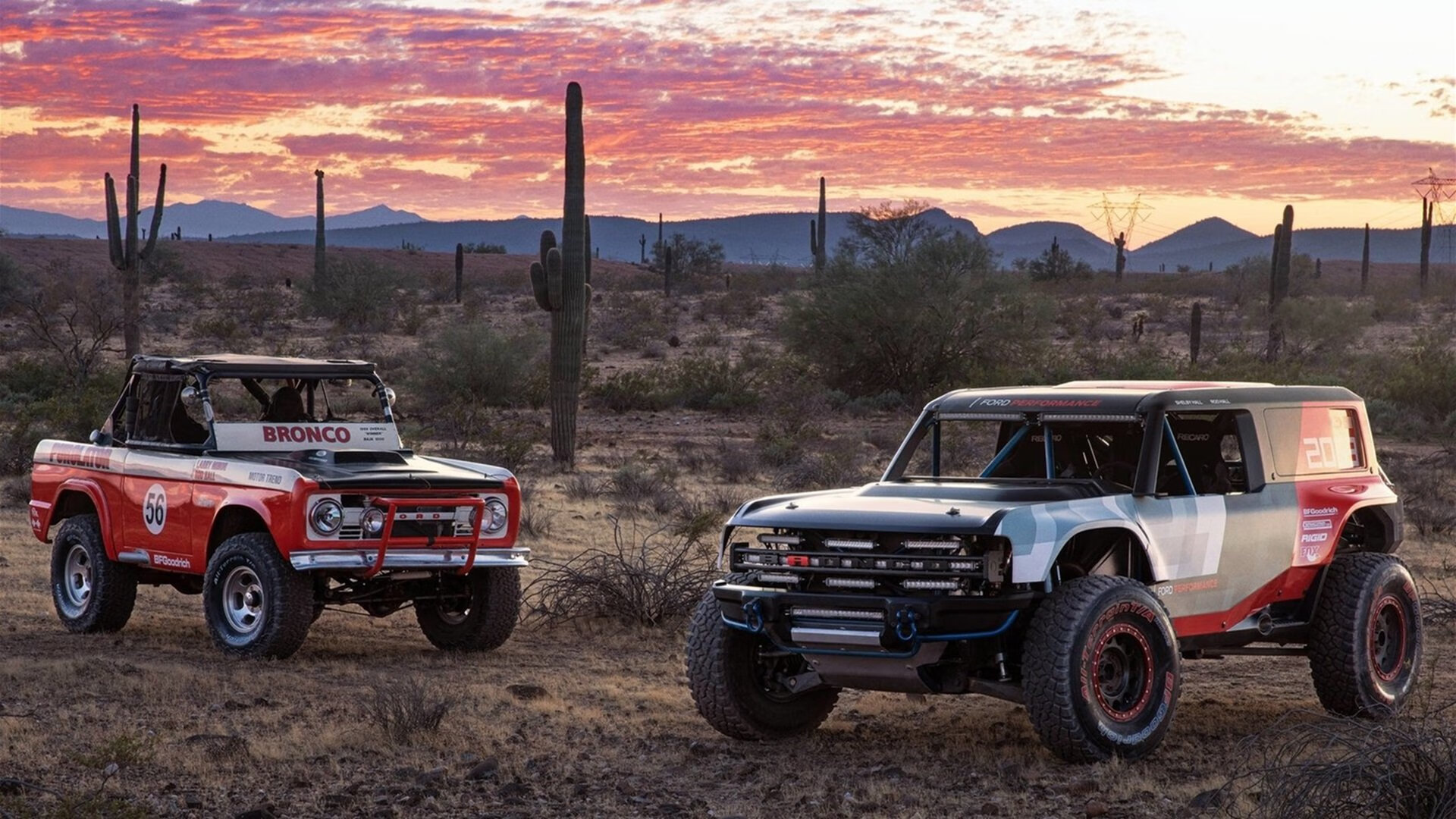 AYX官网-体育公益活动 助力青少年健康成长，体育公益活动策划方案