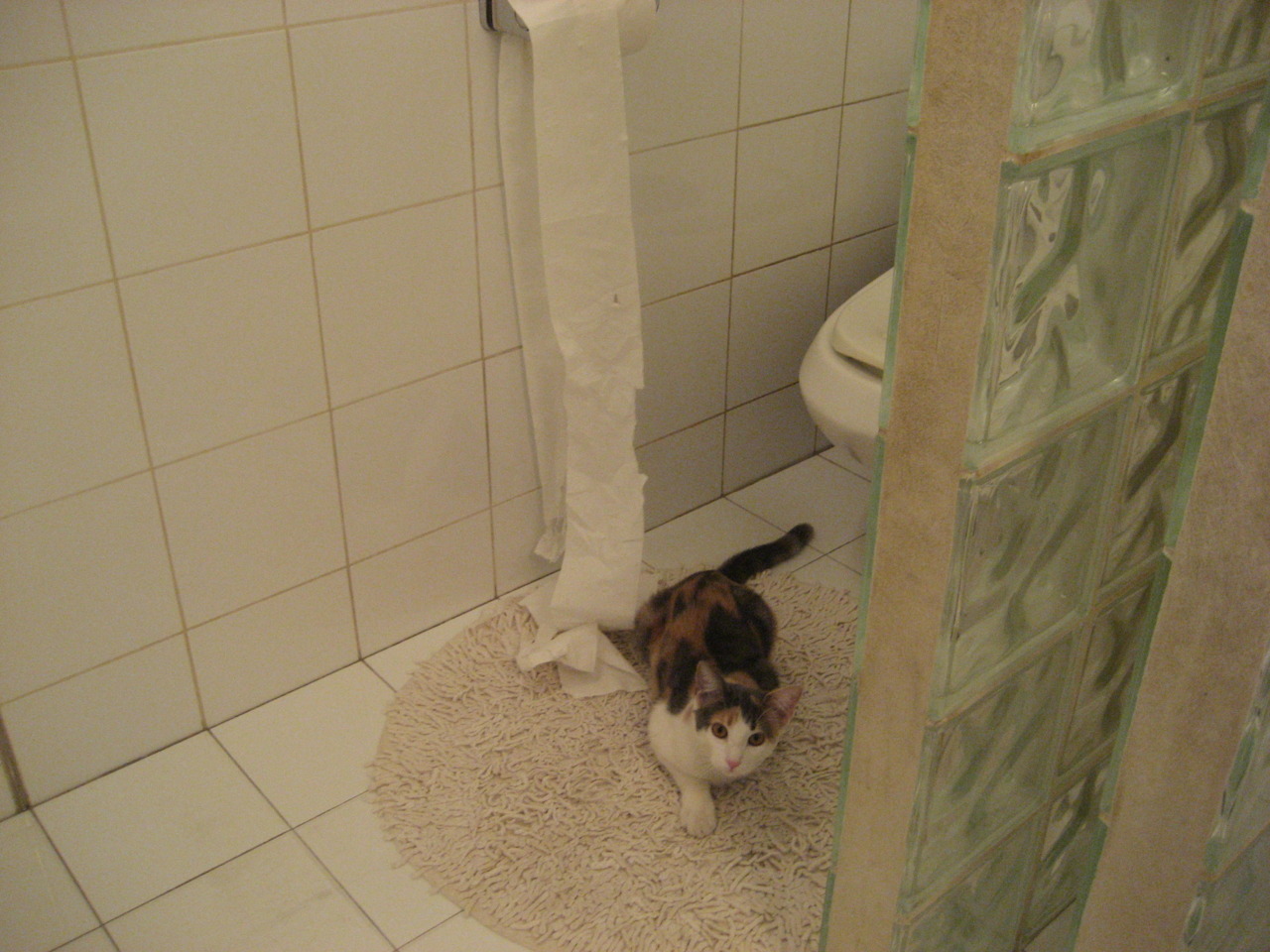 AYX官网-多所高校成立足球专项班结合文化与技战术训练,足球专项是什么