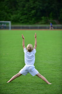 爱游戏体育app-高校运动康复训练技术研究,运动康复技术学陈建
