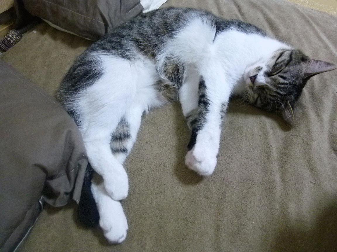 爱游戏官方网站-英超豪门争霸：冠军争夺激烈到最后一刻，英超豪门俱乐部