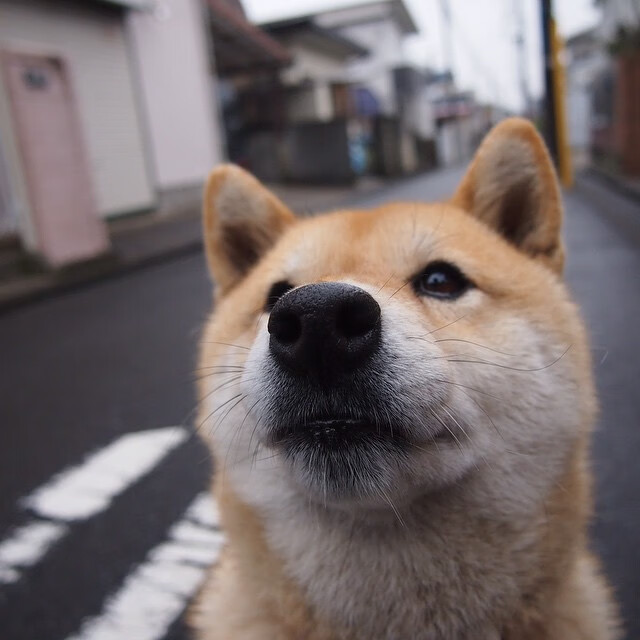 爱游戏官网-骑士内部会议重点讨论节奏掌控和出手选择,骑士vhr