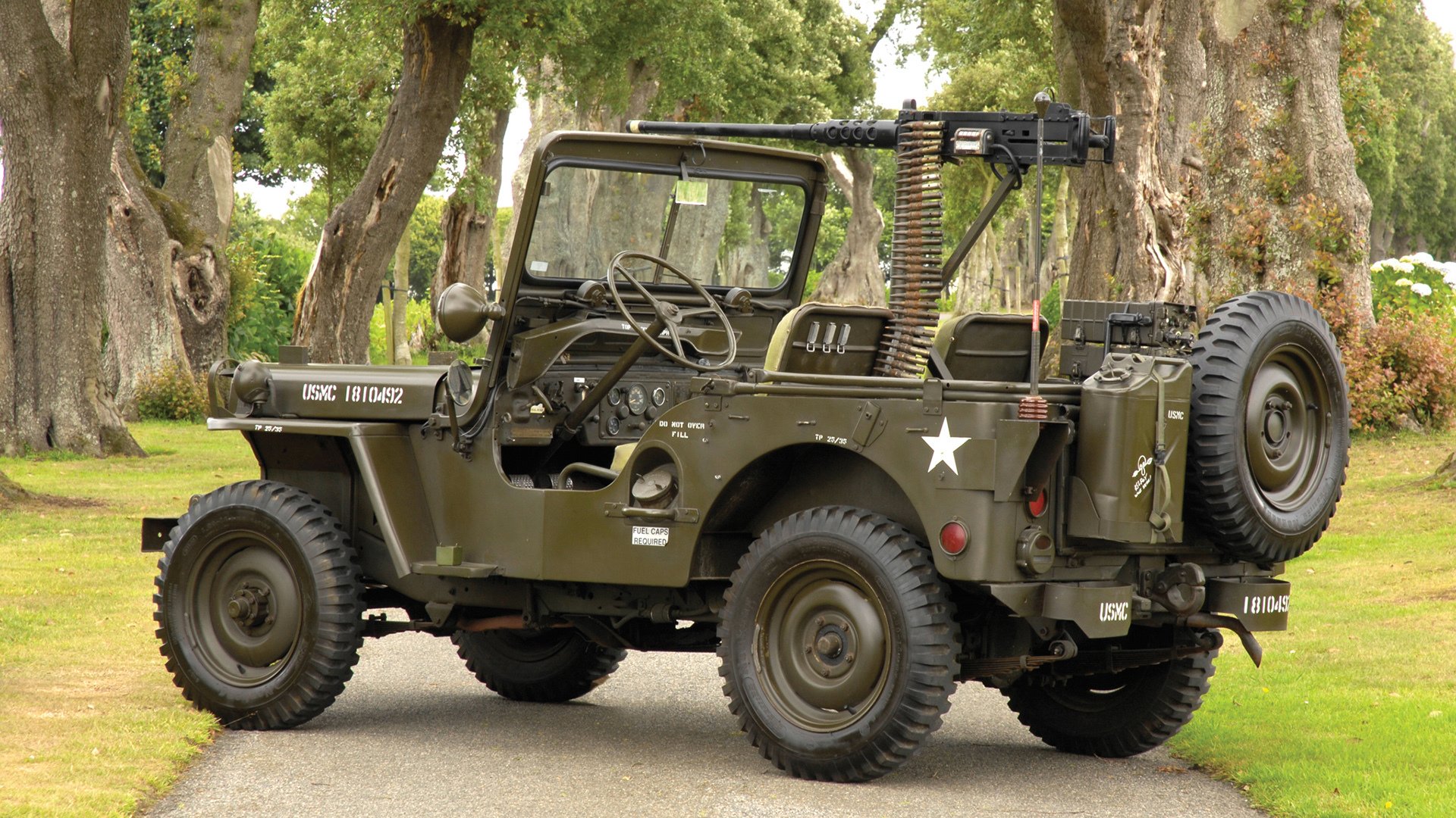 爱游戏-麦金托什蝶泳技术细腻赢得满堂喝彩,麦金托什怎么读