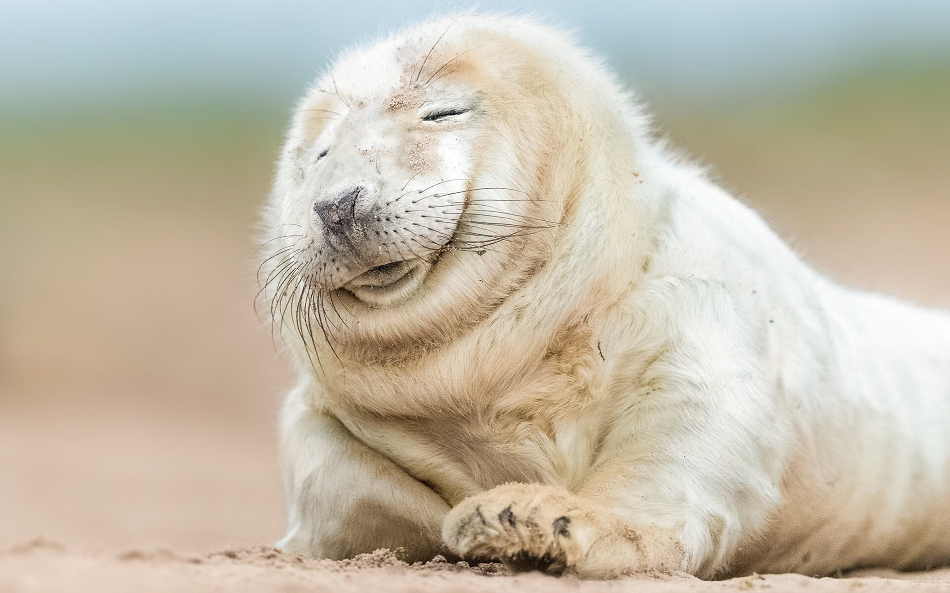 爱游戏-体育新闻中心启动数字体育内容原创激励计划,体育数字化改革方案