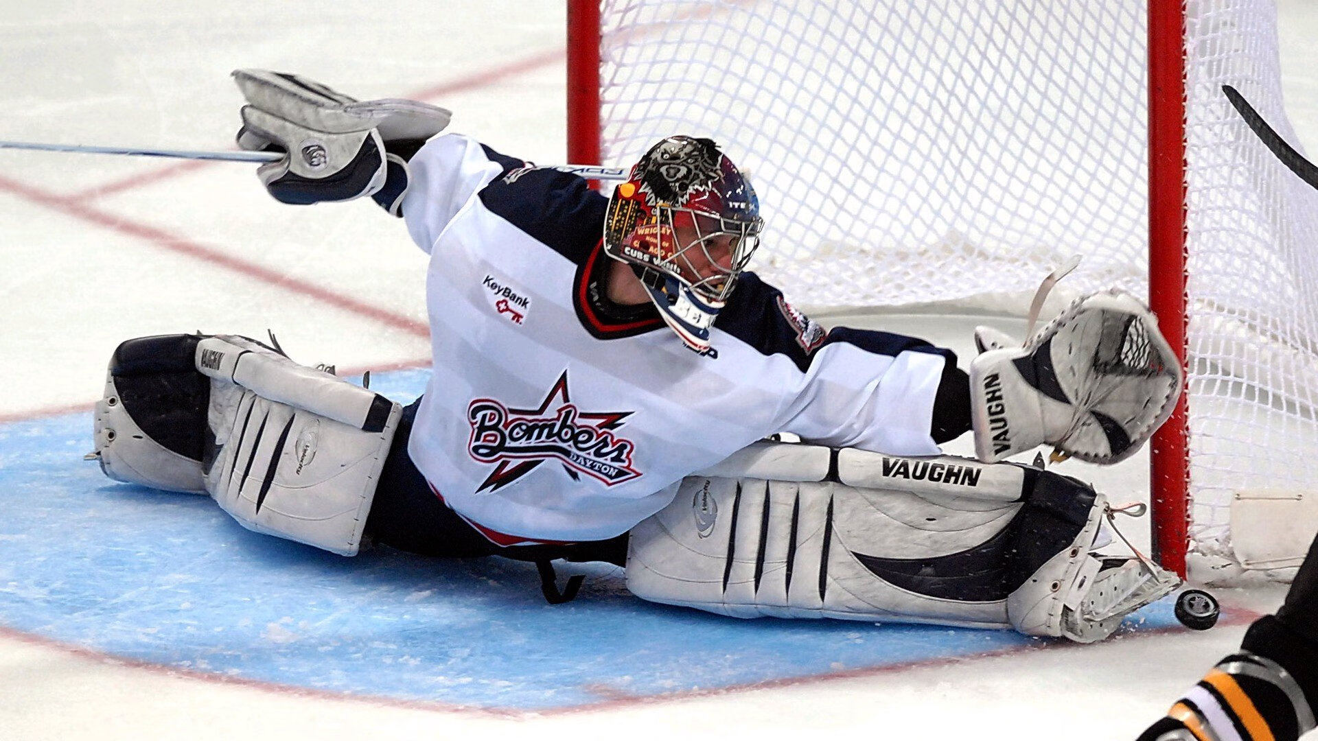 _南极冰原跑:在极地白雪中追逐梦想_,南极冰原阅读答案